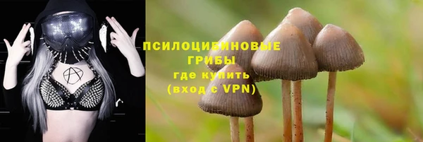 spice Балахна