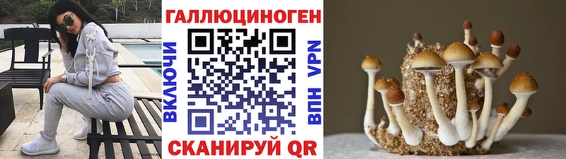 Галлюциногенные грибы GOLDEN TEACHER Городец